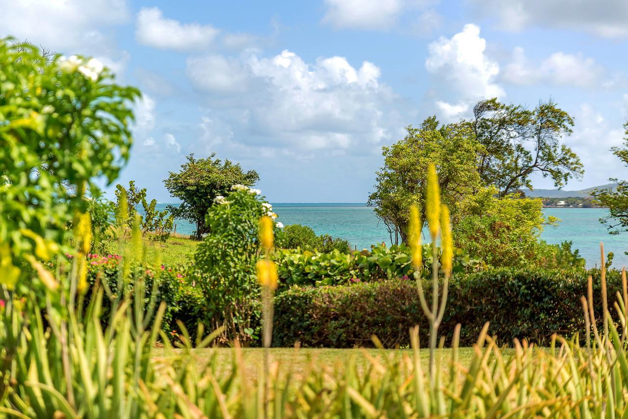 Villas Palm Le Vauclin Extérieur photo